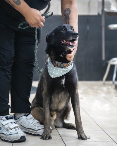 Carousel post from medicalpettj.