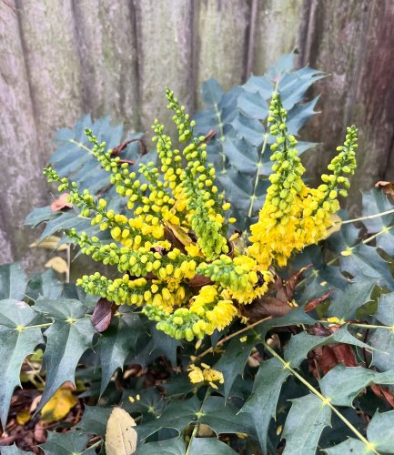 Photo post from lucy_brewer.