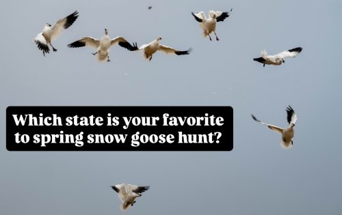 Photo post from northernskiesoutfitters.