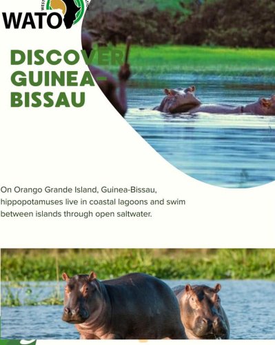 Photo post from wafricatourism.