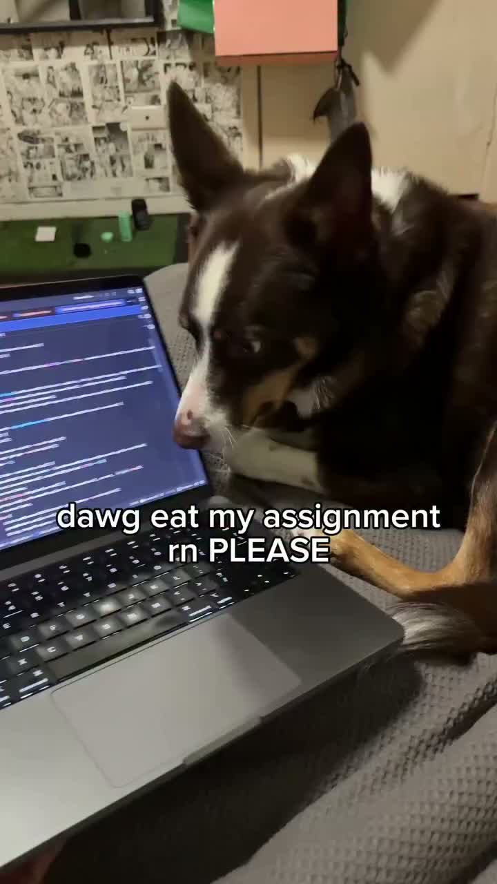 Video post from monashcoding.
