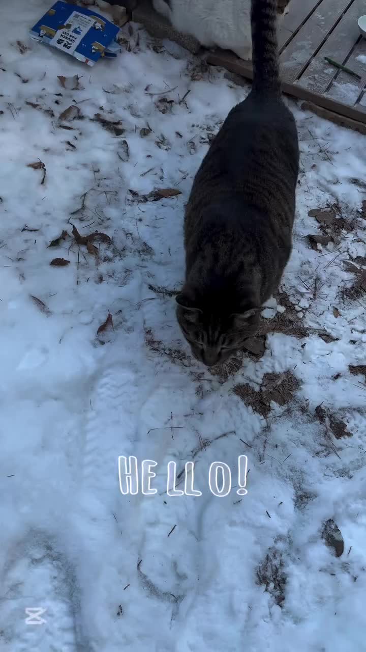 Video post from nydreamer7.