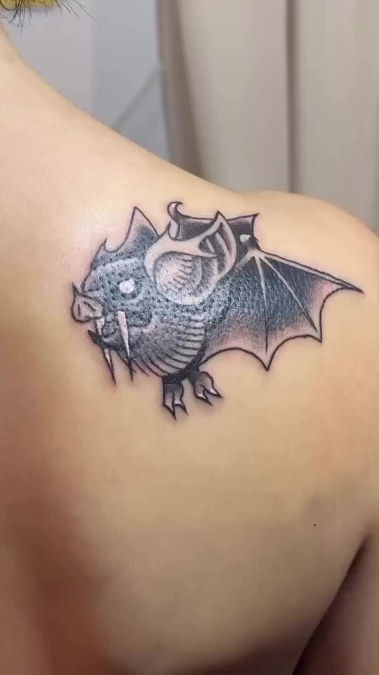 Video post from t.obs.