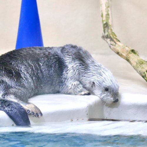 Photo post from ika_hotate_ebi.