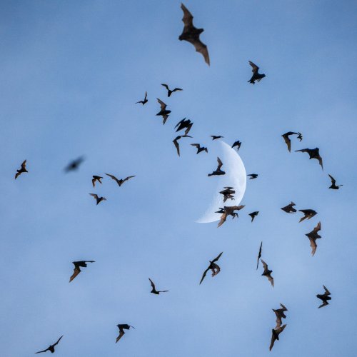 Photo post from biopostales.