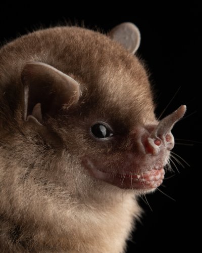 Photo post from josegabrielwildlife.