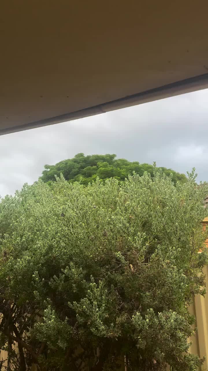 Video post from the_gardenyak.