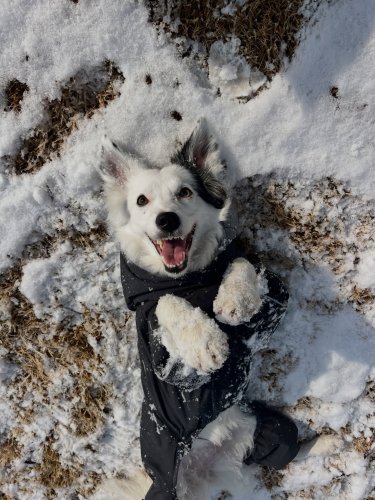 Carousel post from happy._.ayla.