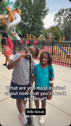 Video post from saeslions.