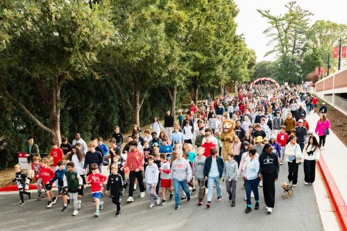 Carousel post from saeslions.