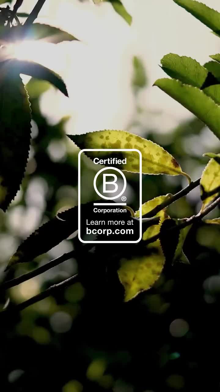 Video post from comvita_au.