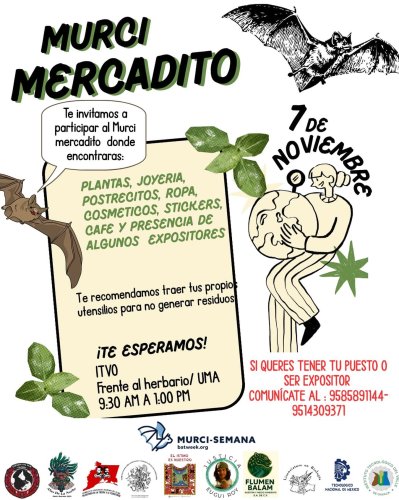 Photo post from alasdelanoche_.