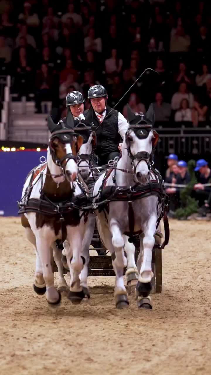 Video post from fei_global.