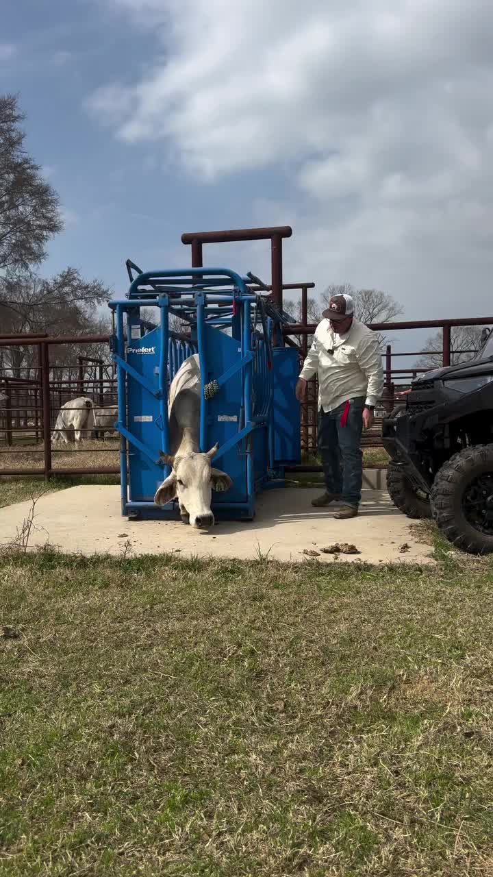 Video post from reddirthatco.