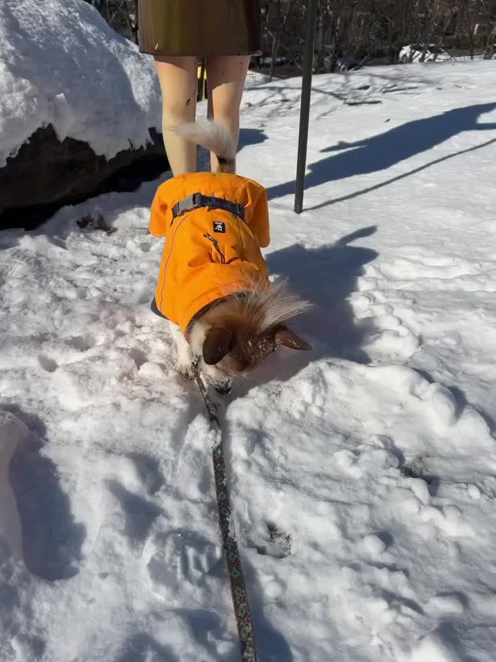 Carousel post from hurttakorea.