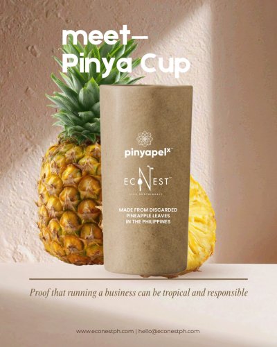 Carousel post from econestph.