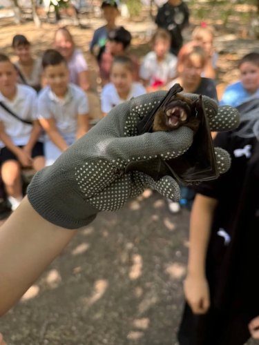 Carousel post from nnpp13.11.2008.