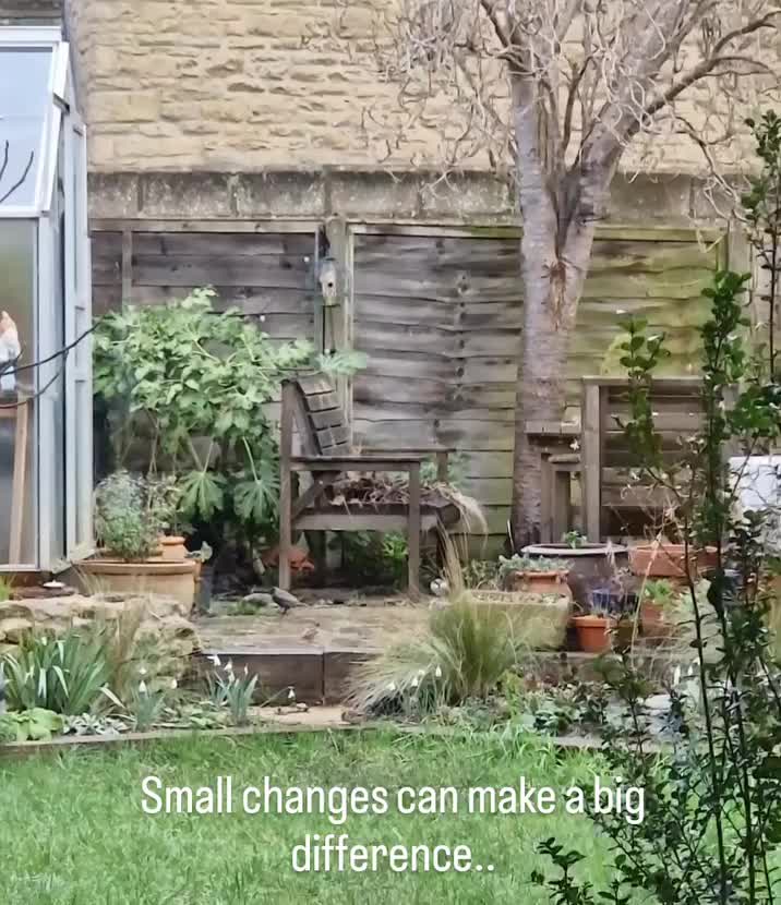 Video post from kitgrowsagarden.