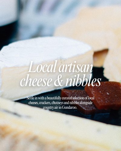 Carousel post from gundogestate.