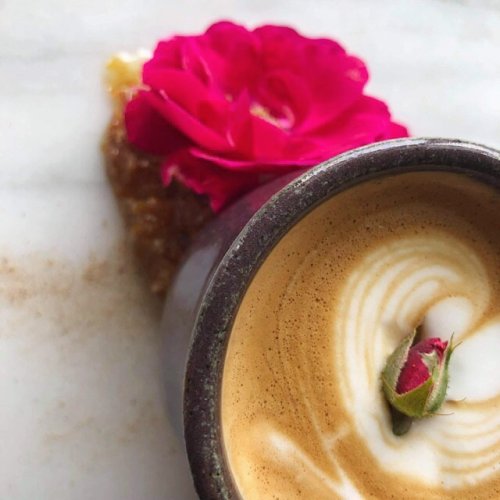 Photo post from equianocoffee.