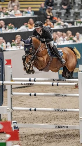 Video post from fei_global.