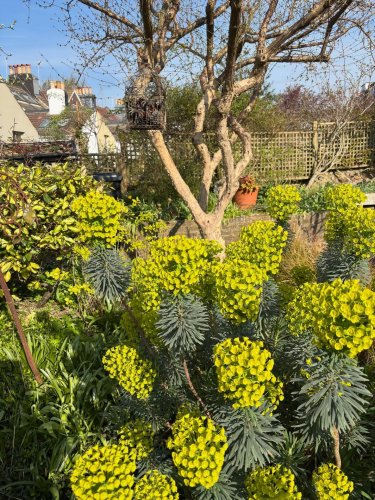 Photo post from gardenhousebrighton.