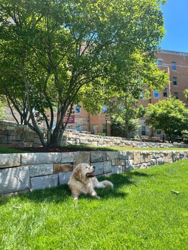 Photo post from bostoncollege.