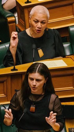 Video post from nzgreenparty.