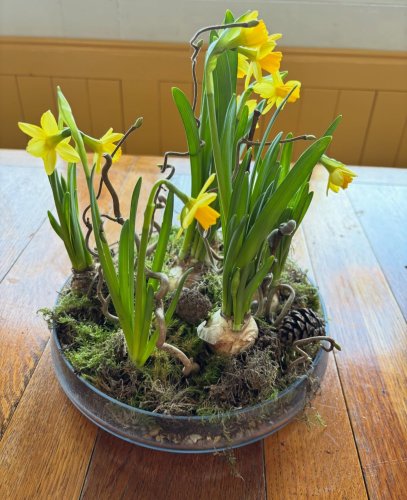 Photo post from gardenhousebrighton.