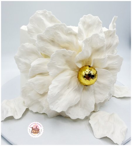 Carousel post from tastywishes4u.