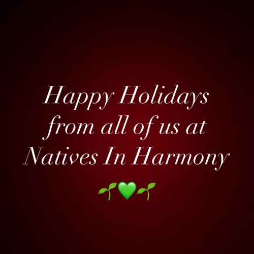 Photo post from nativesinharmony.