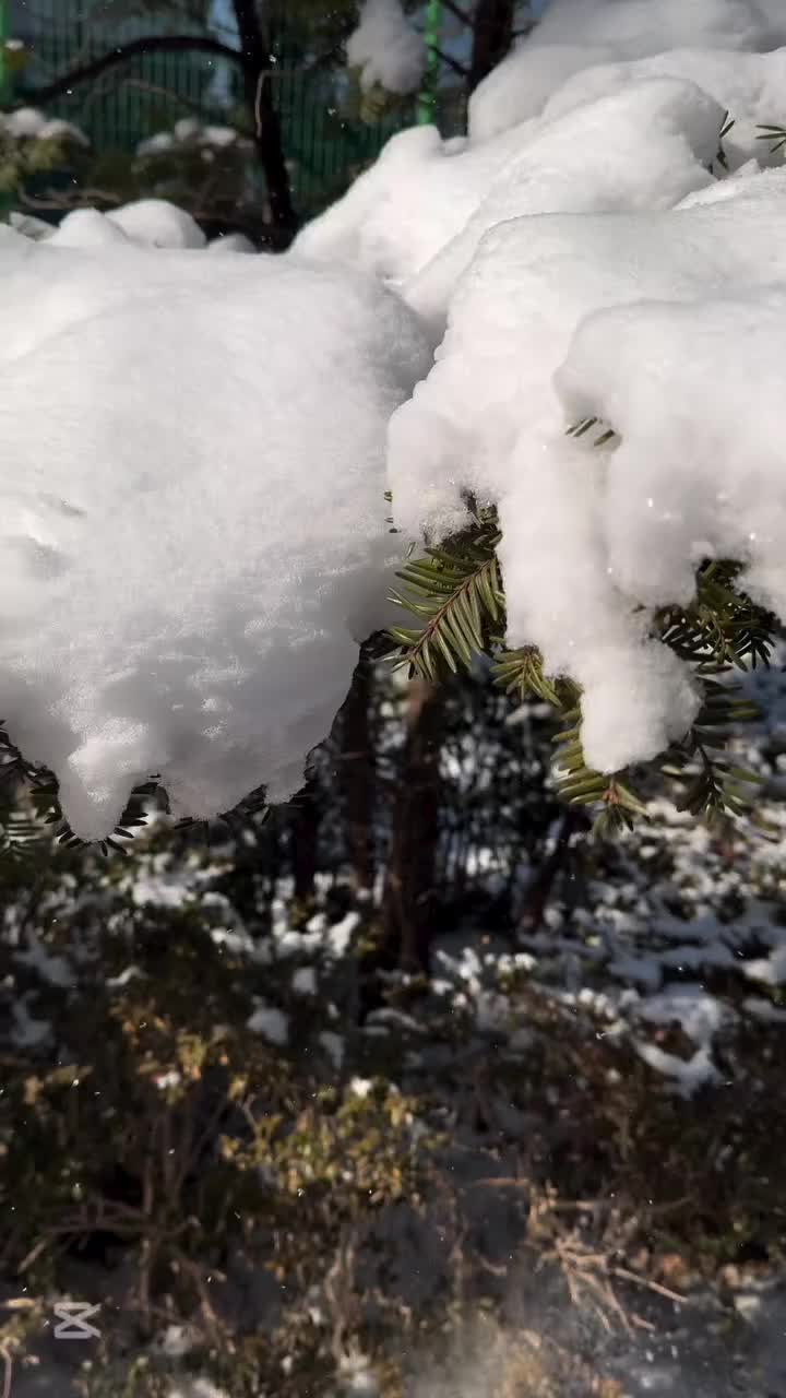 Video post from nydreamer7.