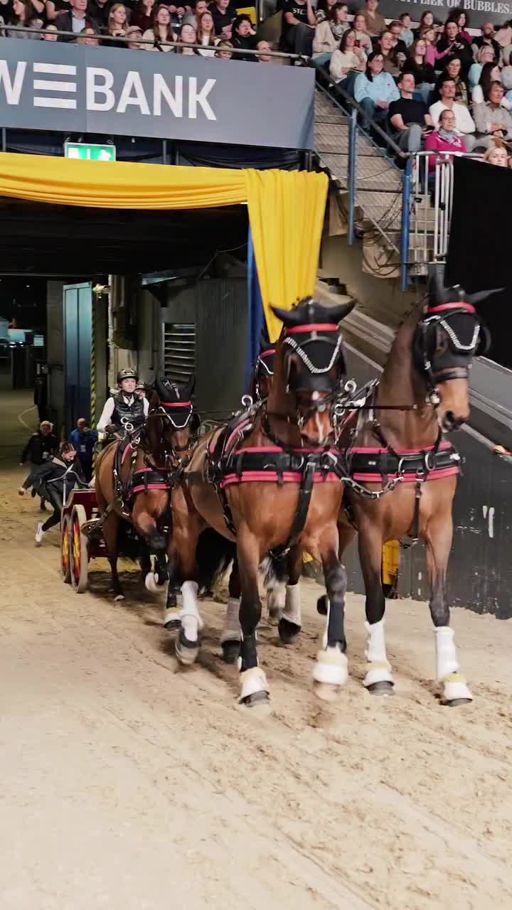 Video post from fei_global.