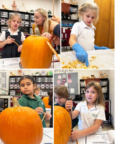 Carousel post from laurelschool.