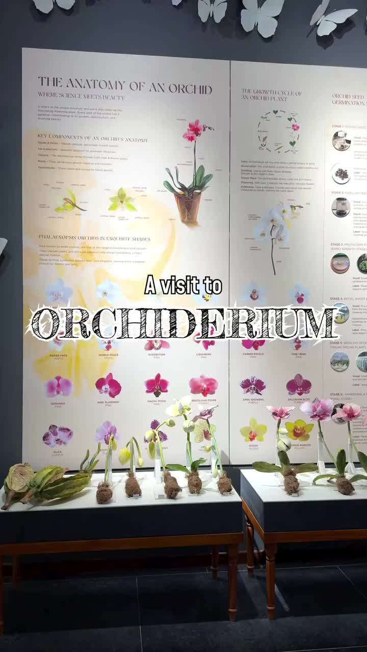 Video post from purkinje_crazyforplants.