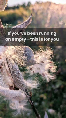 Video post from flutterbymeadows.