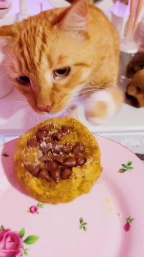 Video post from margaritabloom.