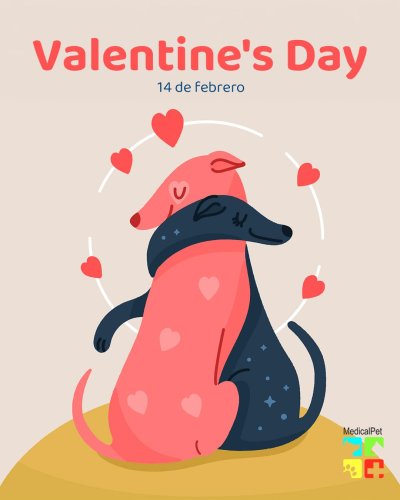 Photo post from medicalpettj.