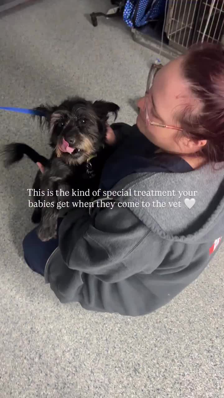 Video post from familyanimalhospitalcm.