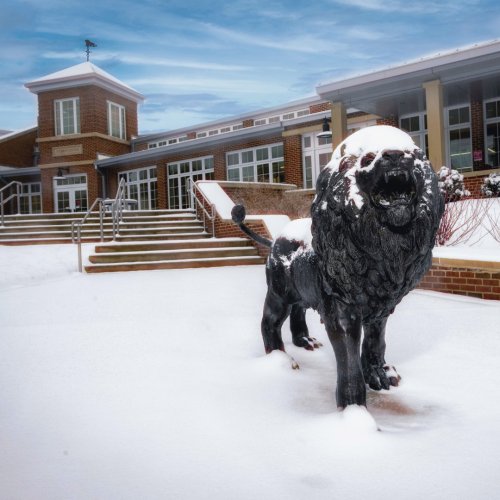 Photo post from saeslions.