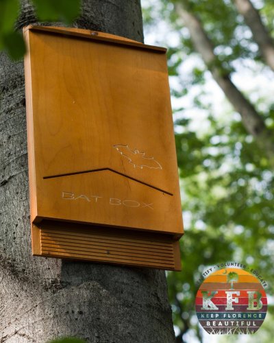 Photo post from wearekfb.