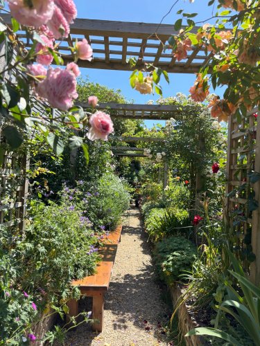 Photo post from gardenhousebrighton.