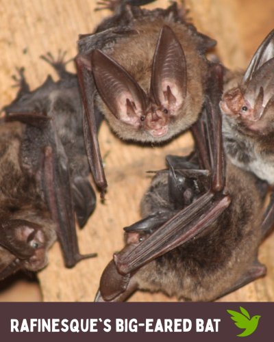 Carousel post from discoverlifeinamerica.