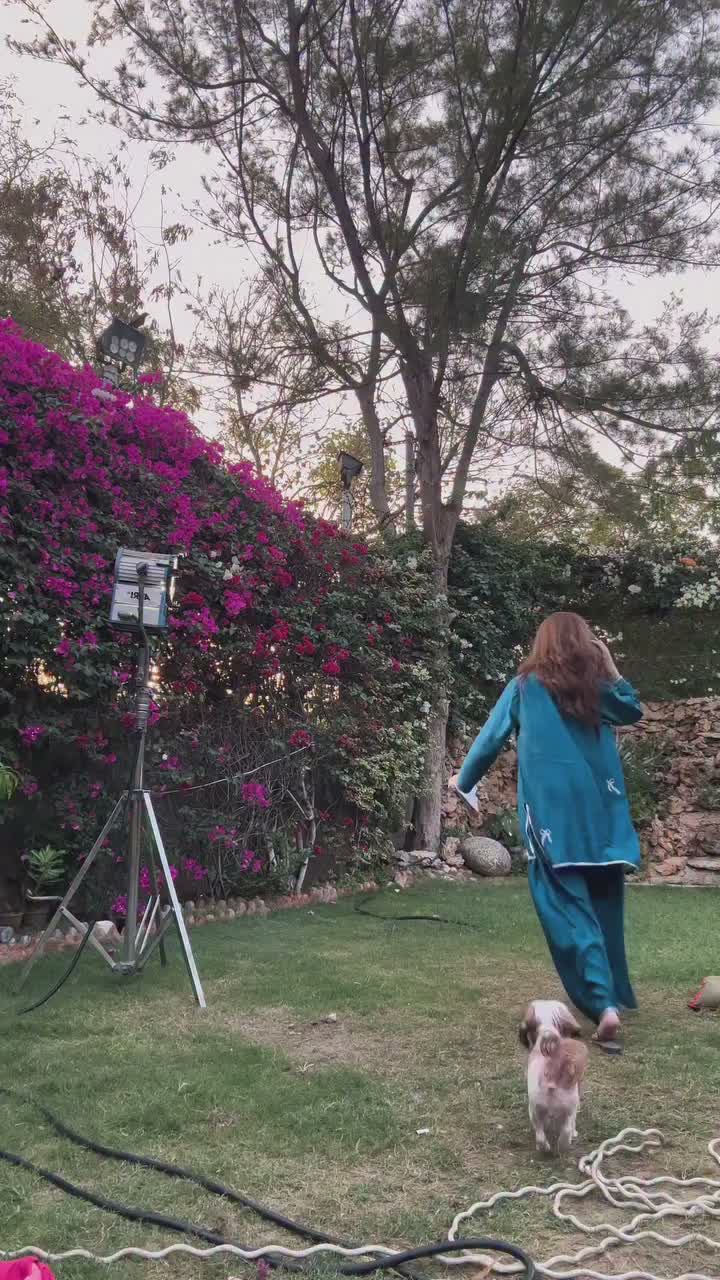 Video post from alizehshahofficial.