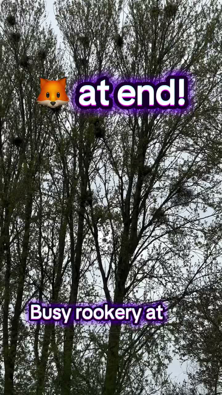 Video post from nourishflourishuk.