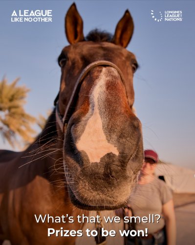 Photo post from fei_global.