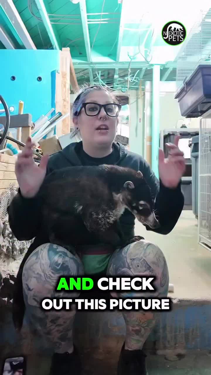Video post from njexoticpets.