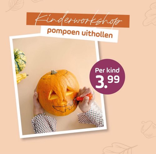 Photo post from visitoirschot.