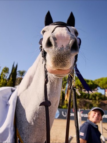 Carousel post from fei_global.