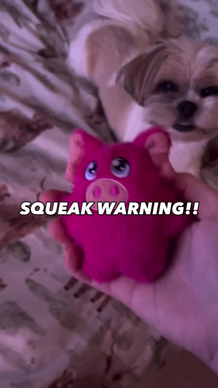 Video post from the_lhasa_trio.